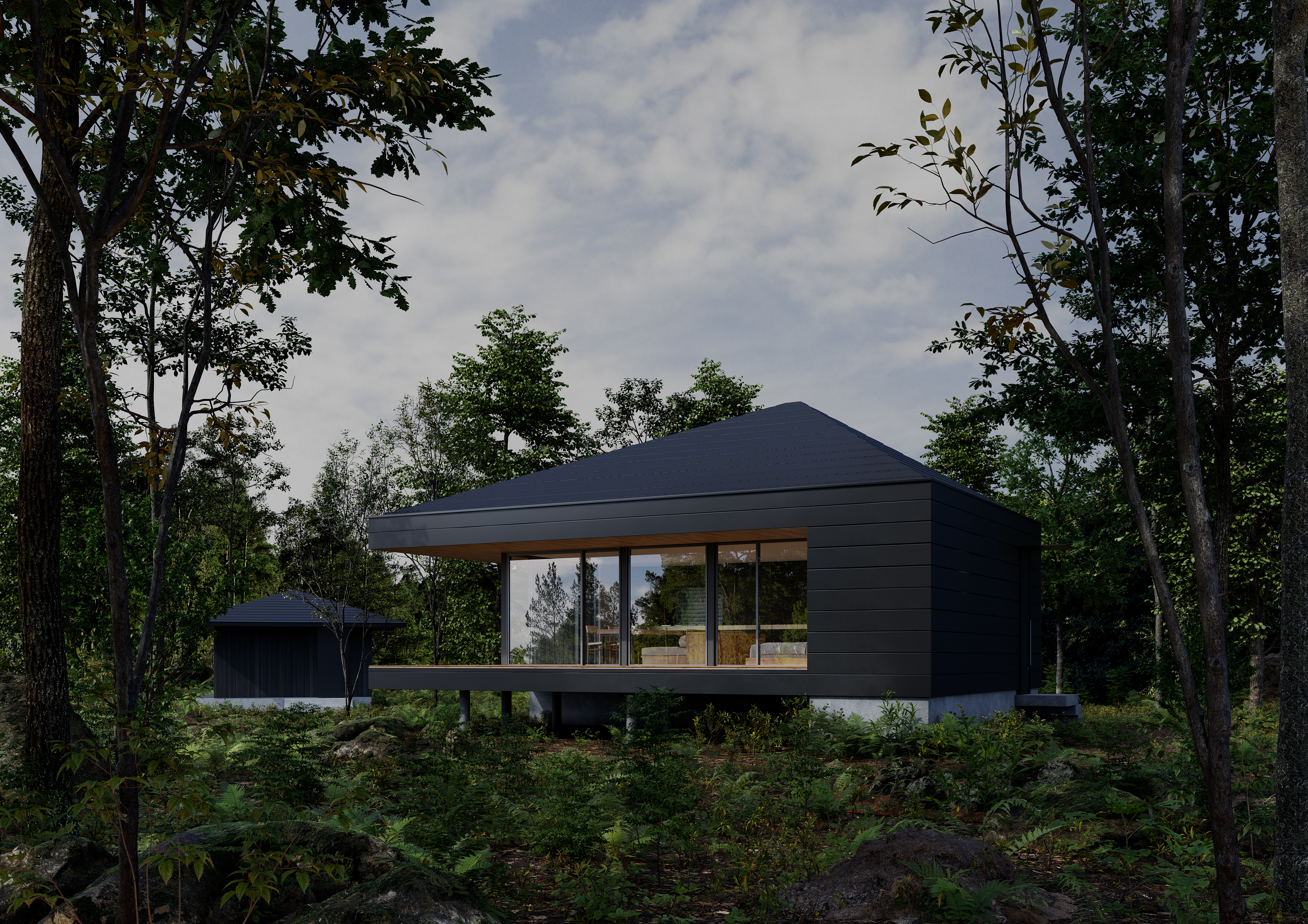 Modern Cabin Project