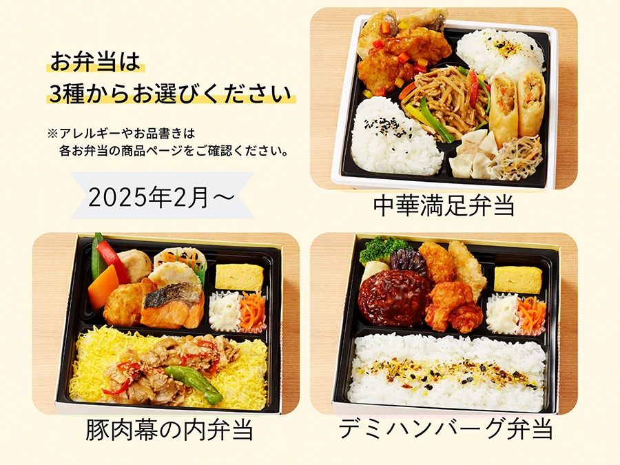 特別弁当パックA（雅致　デミハンバーグ弁当）