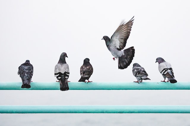Sending XaaS Updates to Slack with IFTTT and Twitter