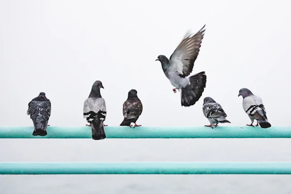 Sending XaaS Updates to Slack with IFTTT and Twitter