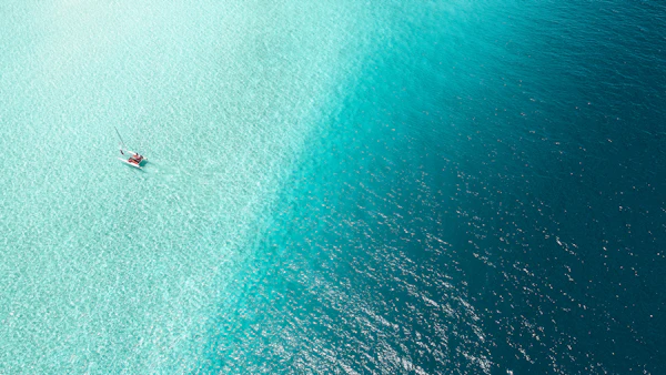 Articles and Websites That Came Up in #design in August