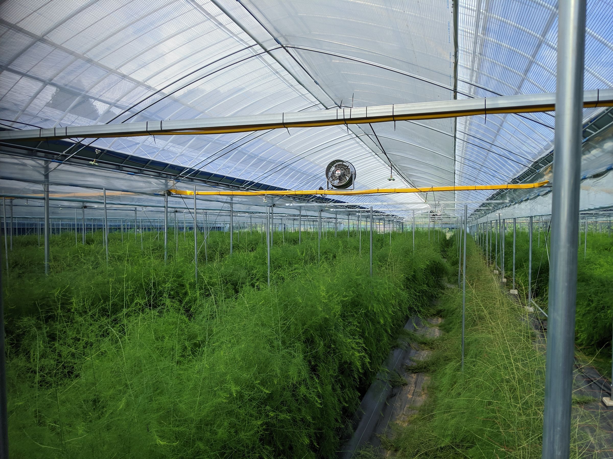 Field Visit Notes