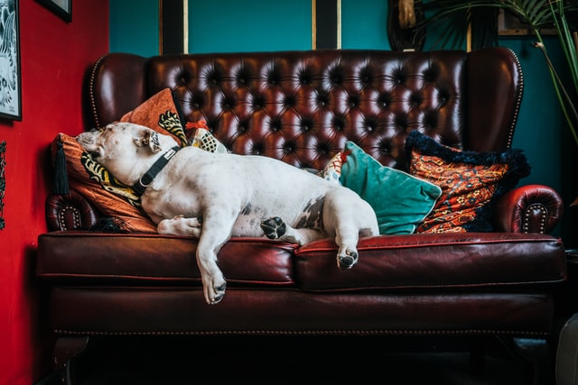 What We Do When Remote Work Drags On