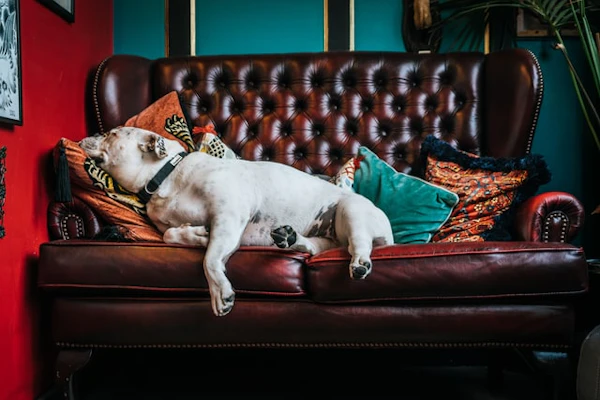 What We Do When Remote Work Drags On