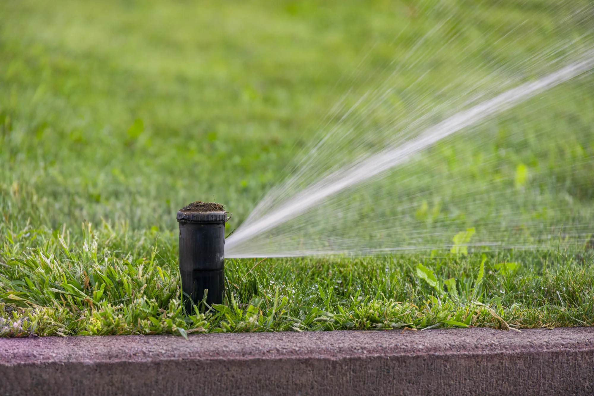 広い 庭付き 一戸建て