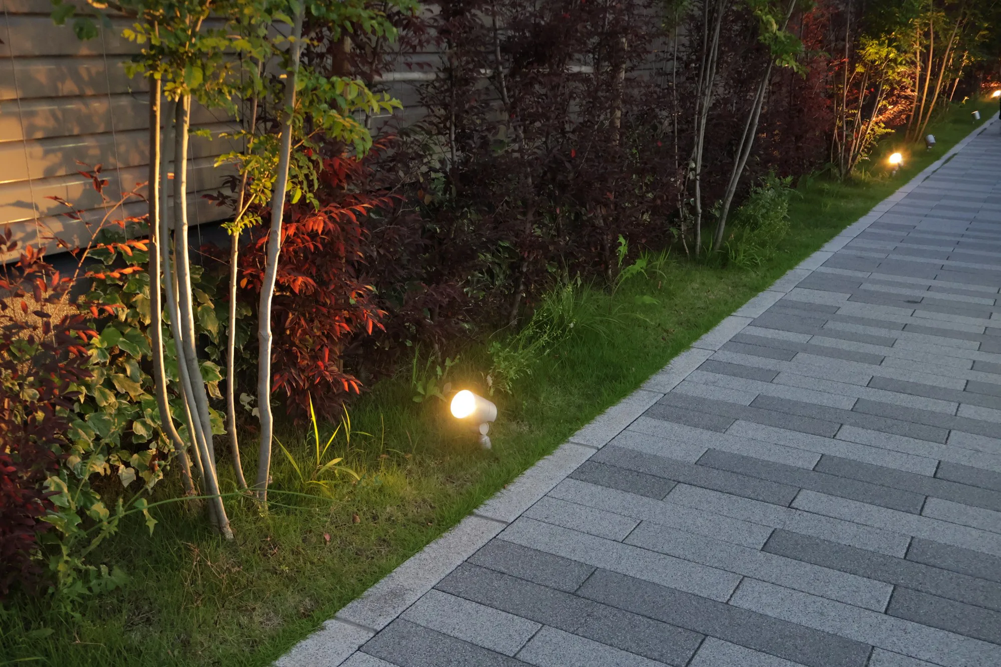 広い 庭付き 一戸建て