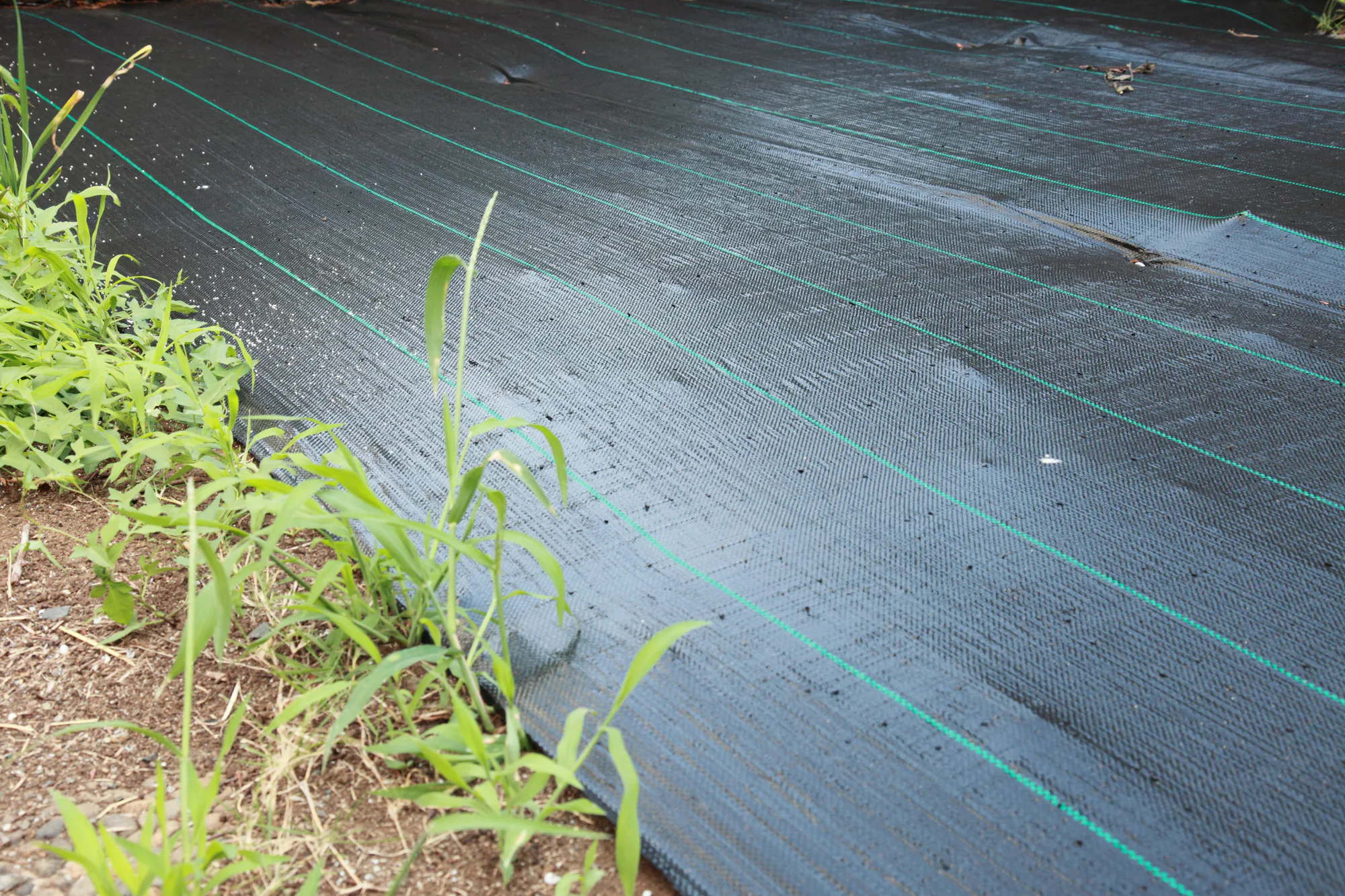 広い 庭付き 一戸建て