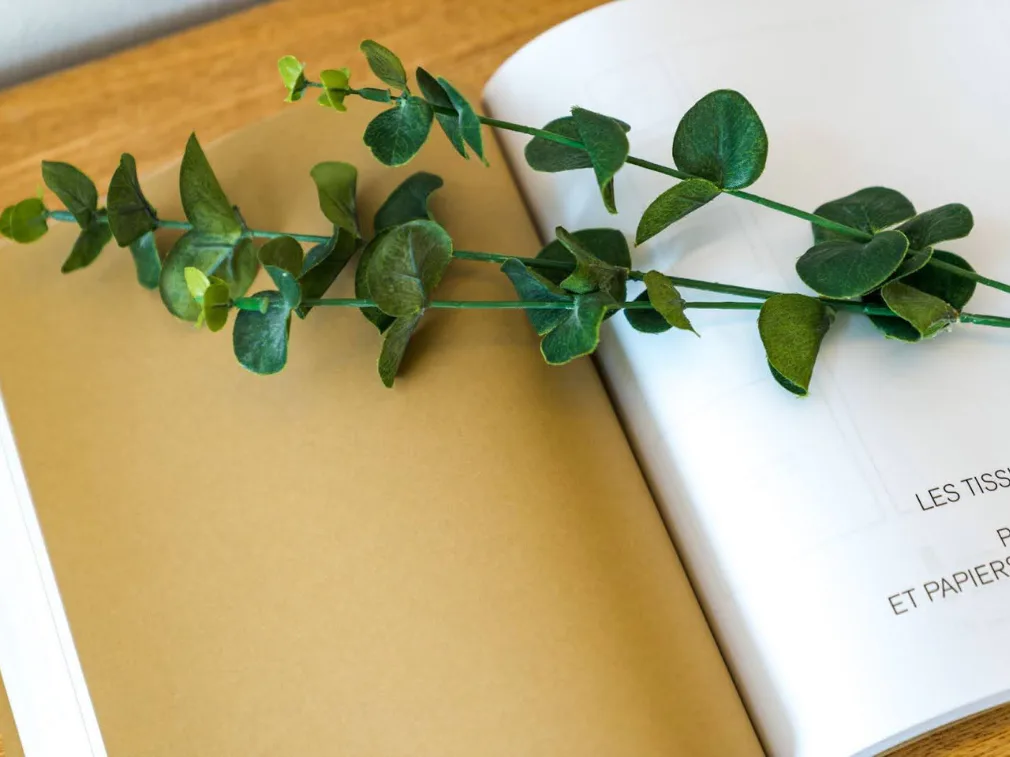 建売住宅に不動産取得税はかからない?いつ・誰が・いくら払うかわかりやすく解説