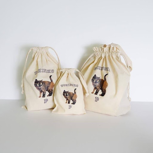 きんちゃくセット（イメージ）