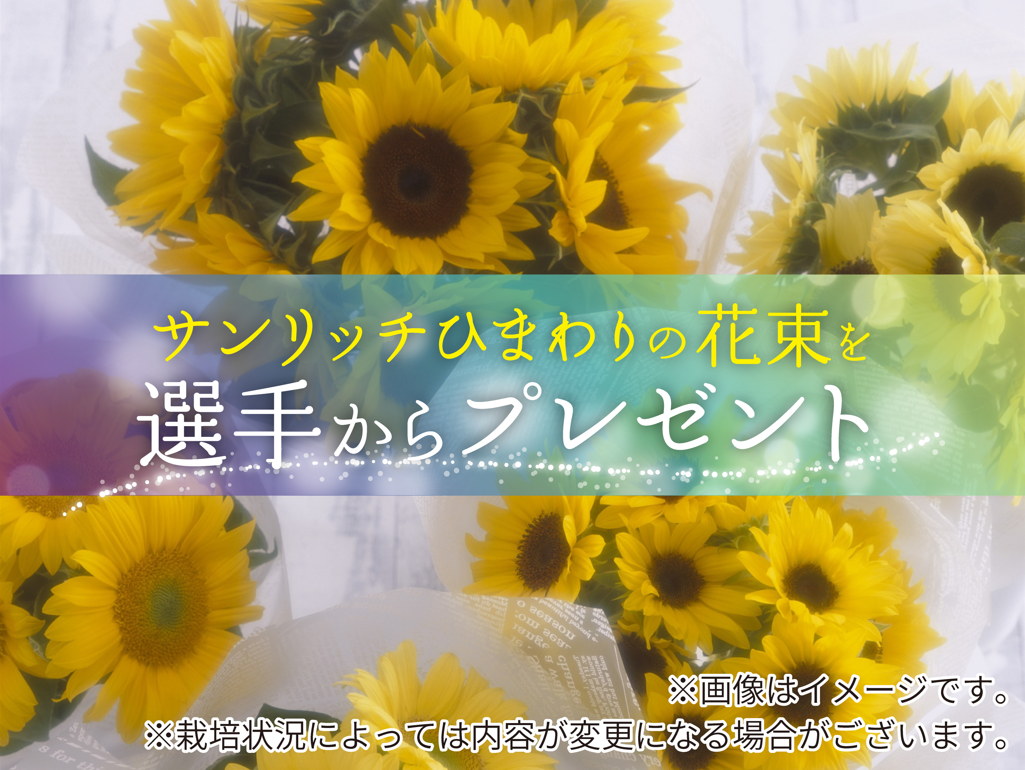 選手からサンリッチひまわりの花束をプレゼント!