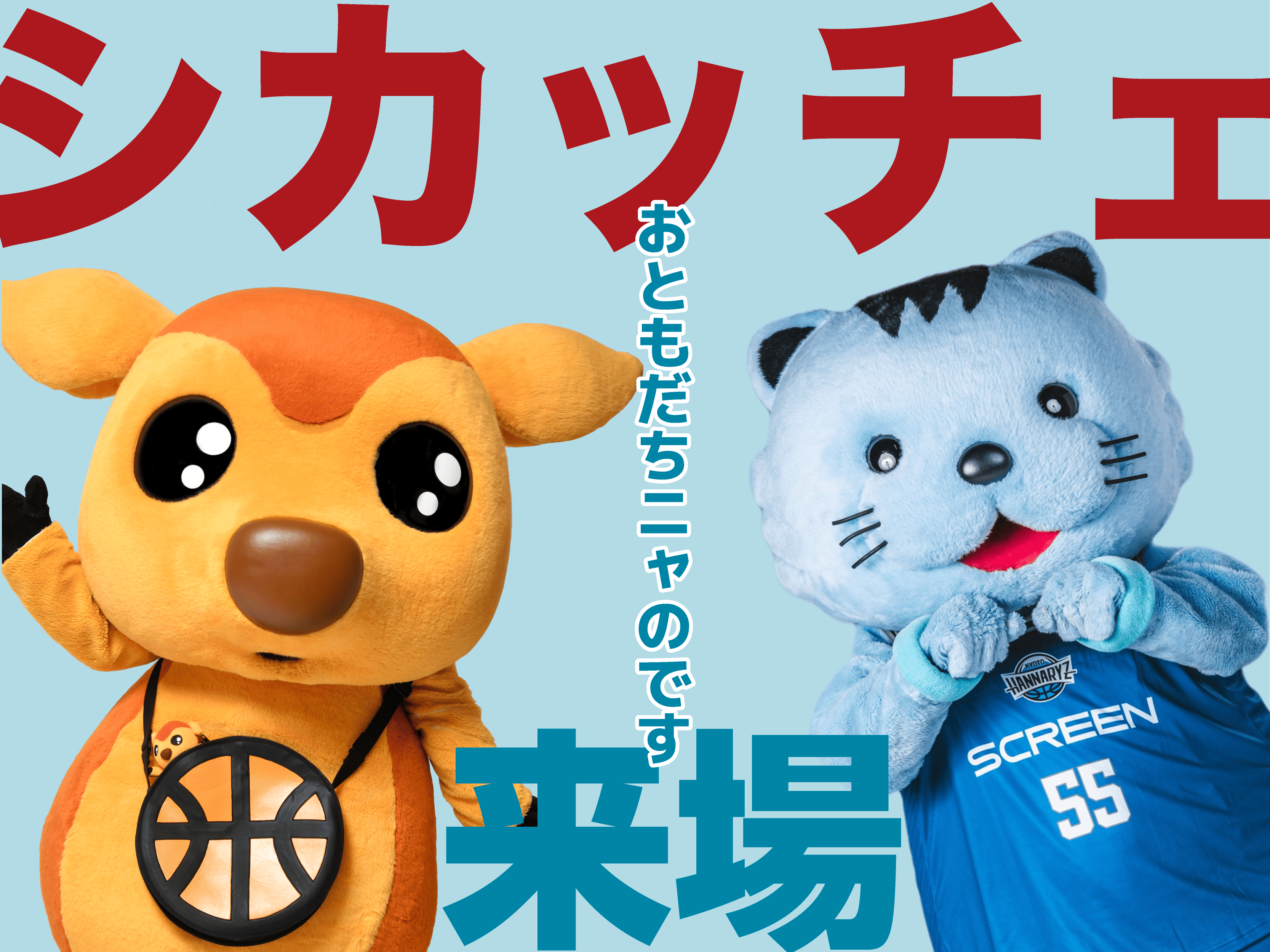 シカッチェ来場