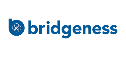 bridgeness