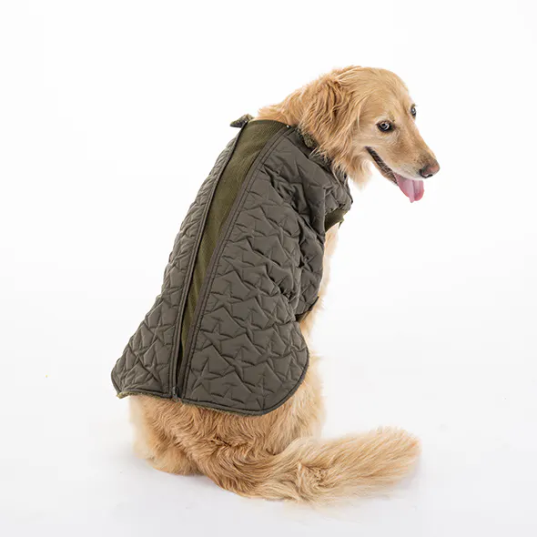pet_wear_gallery_4550596173696_590x590.jpg