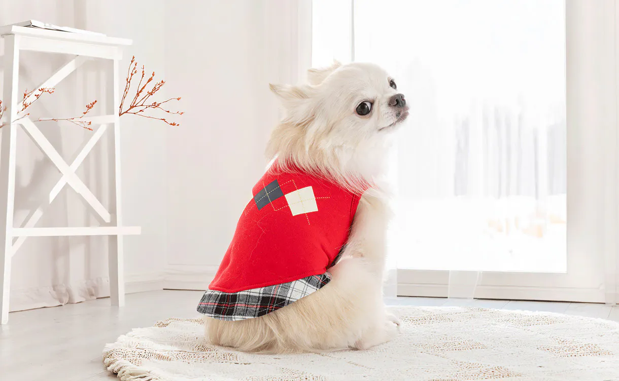 pet_wear_4550596255316_1220x752.jpg