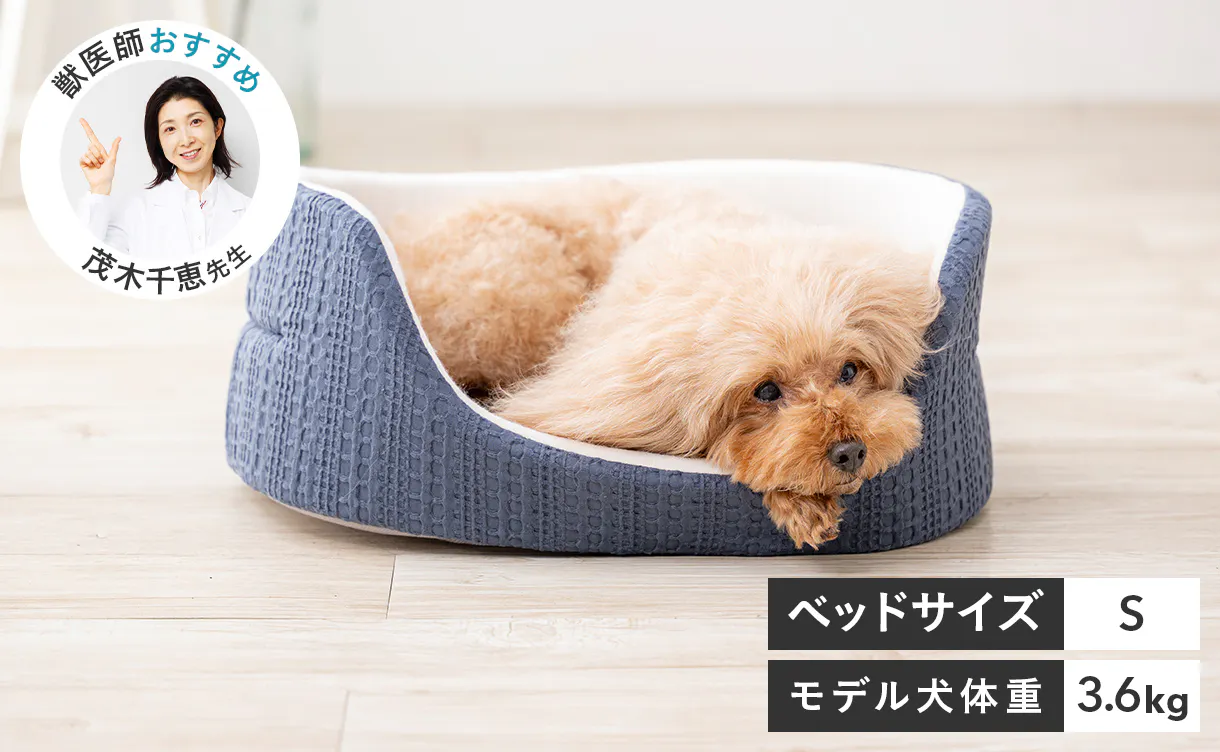 pet_bed_4550596202419_1220x752.jpg