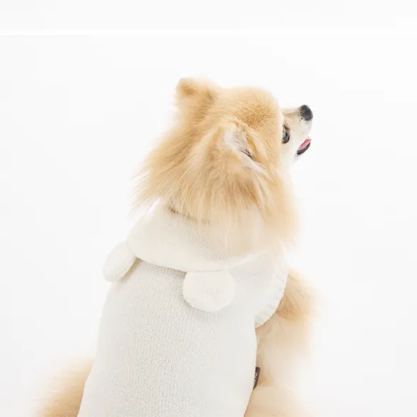 pet_wear_gallery_img3_590x590.jpg
