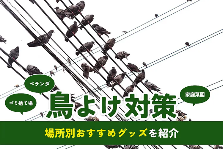 【鳥よけにおすすめ】ベランダやゴミ捨て場で使えるグッズ17選
