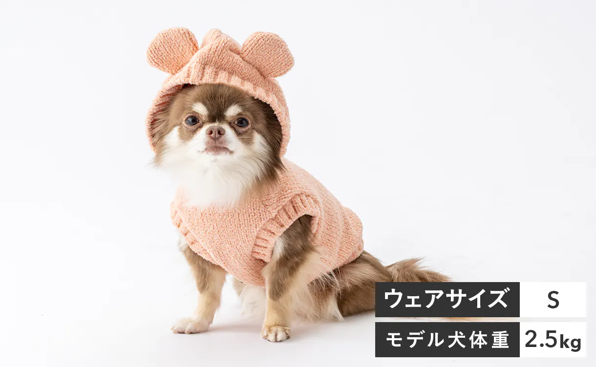 pet_wear_img08_1220x752.jpg