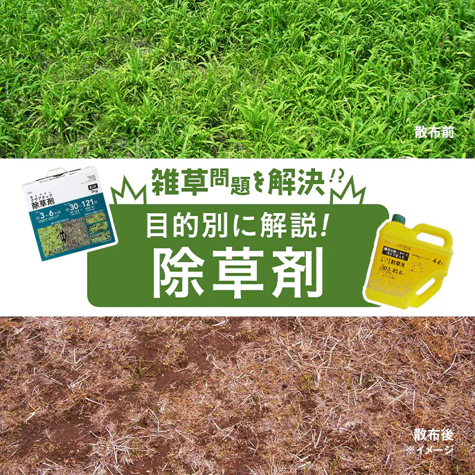 除草剤のおすすめ商品