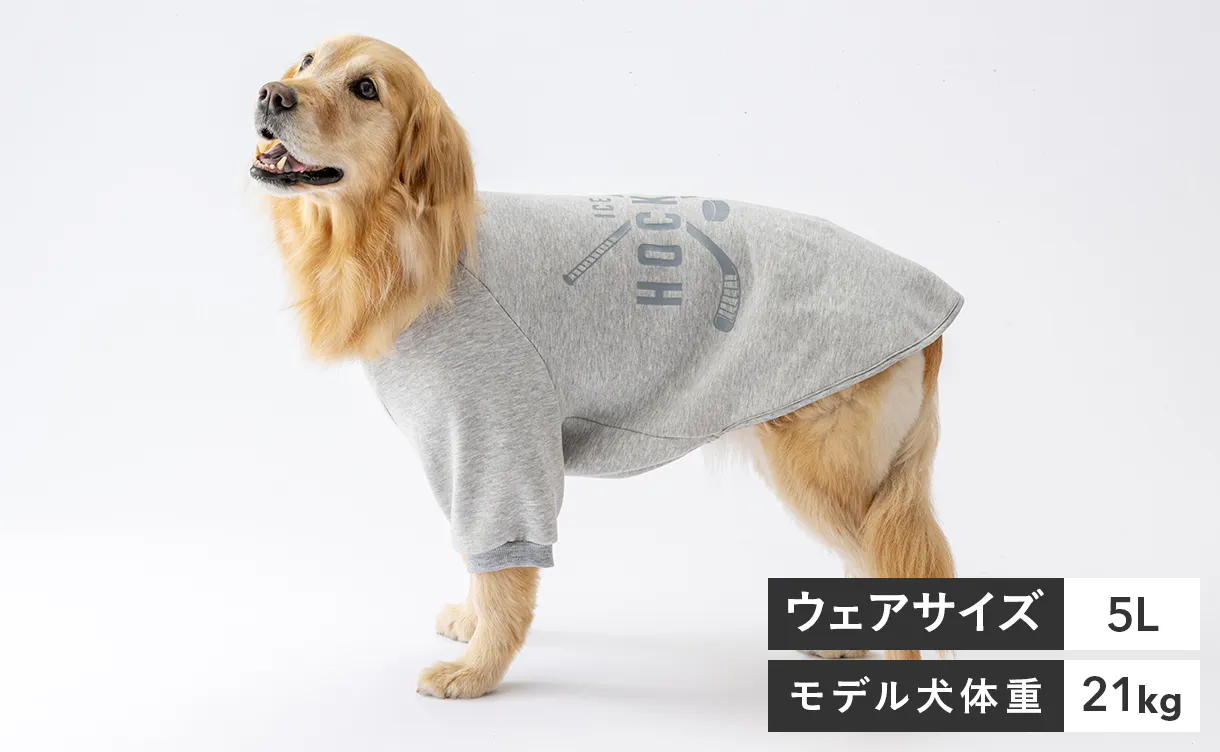 pet_wear_img07_1220x752.jpg