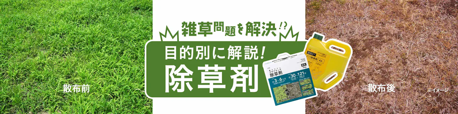 https://images.microcms-assets.io/assets/dd61093efdf7447487bd23730b56ff5a/07ea1264ab90421fa0437db79ad5b97f/herbicide_2880x720.jpg