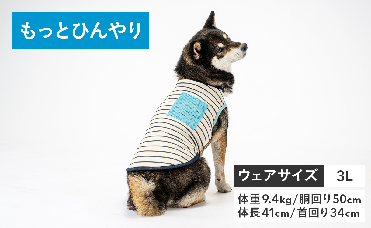 2026年春夏】おしゃれでかわいい犬服・ドッグウェア特集｜ひんやり機能