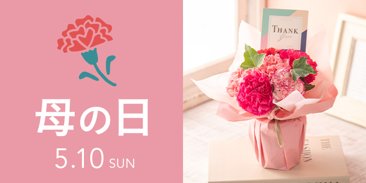 母の日ギフト｜ホームセンターのカインズ公式通販サイト
