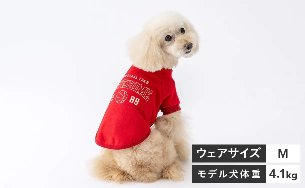 pet_wear_img01_1220x752.jpg