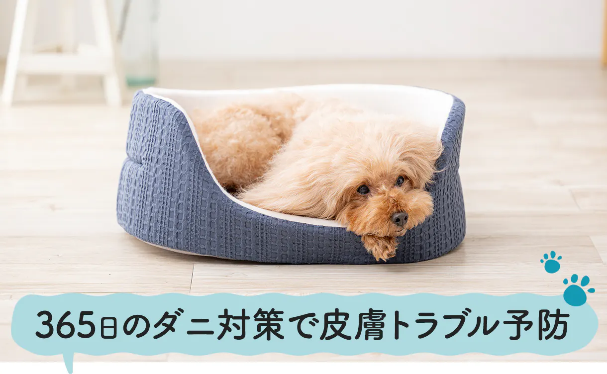 防ダニ 抗菌防臭ペットベッド