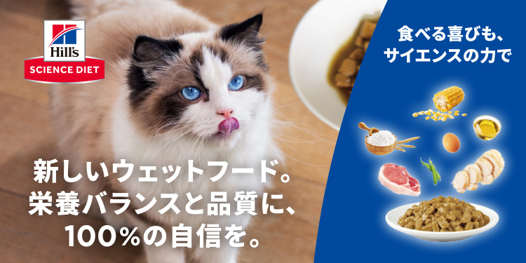 サイエンス・ダイエット 新しいウエットフード（猫用）販売中