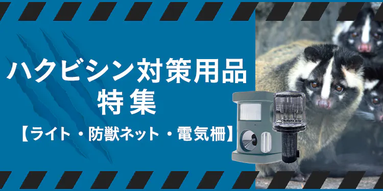 ハクビシン対策用品特集