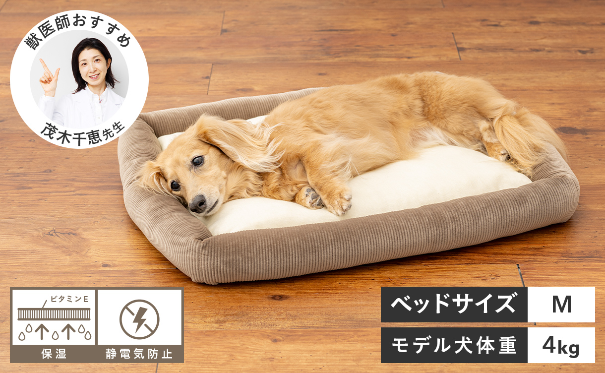 nishikawa製ペット用ベッド「庵-iori-」が発売開始 | 株式会社エスエス