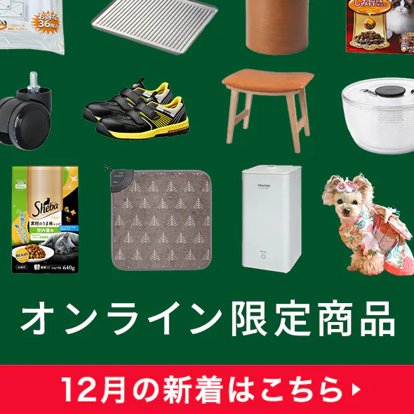 今月の新着オンライン限定商品