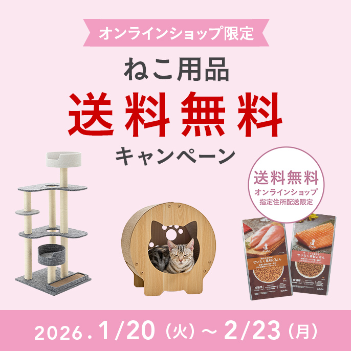 特集・キャンペーン一覧｜ホームセンターのカインズ公式通販サイト