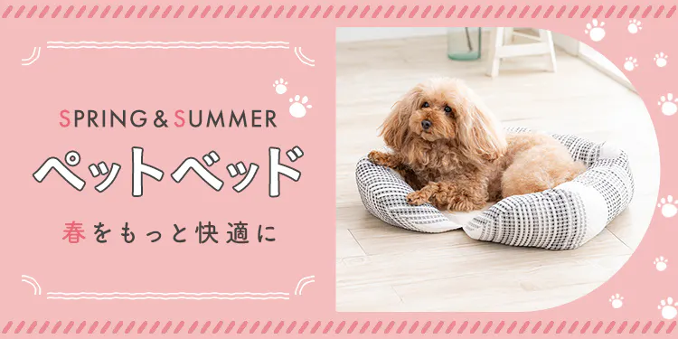 【2026年春夏】新作ペットベッドを機能や形別にご紹介