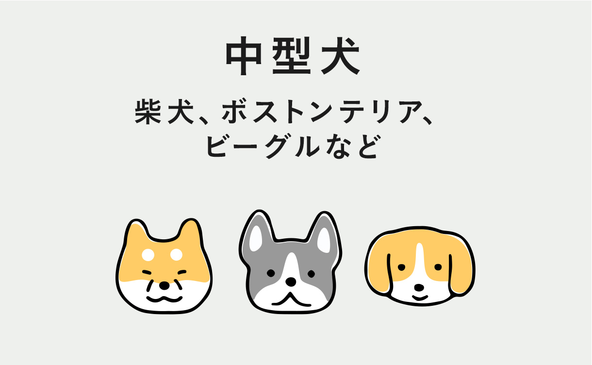 犬用ペットシーツのおすすめ商品と選び方ガイド !悩み別でも探せる 犬用ペットシーツのおすすめ商品と選び方ガイド !悩み別でも探せる