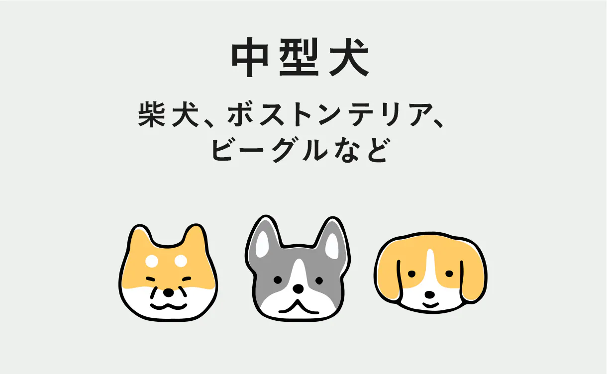 ワイドサイズ