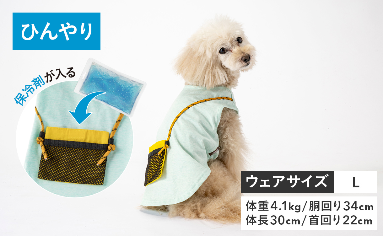 2026年春夏】おしゃれでかわいい犬服・ドッグウェア特集｜ひんやり機能