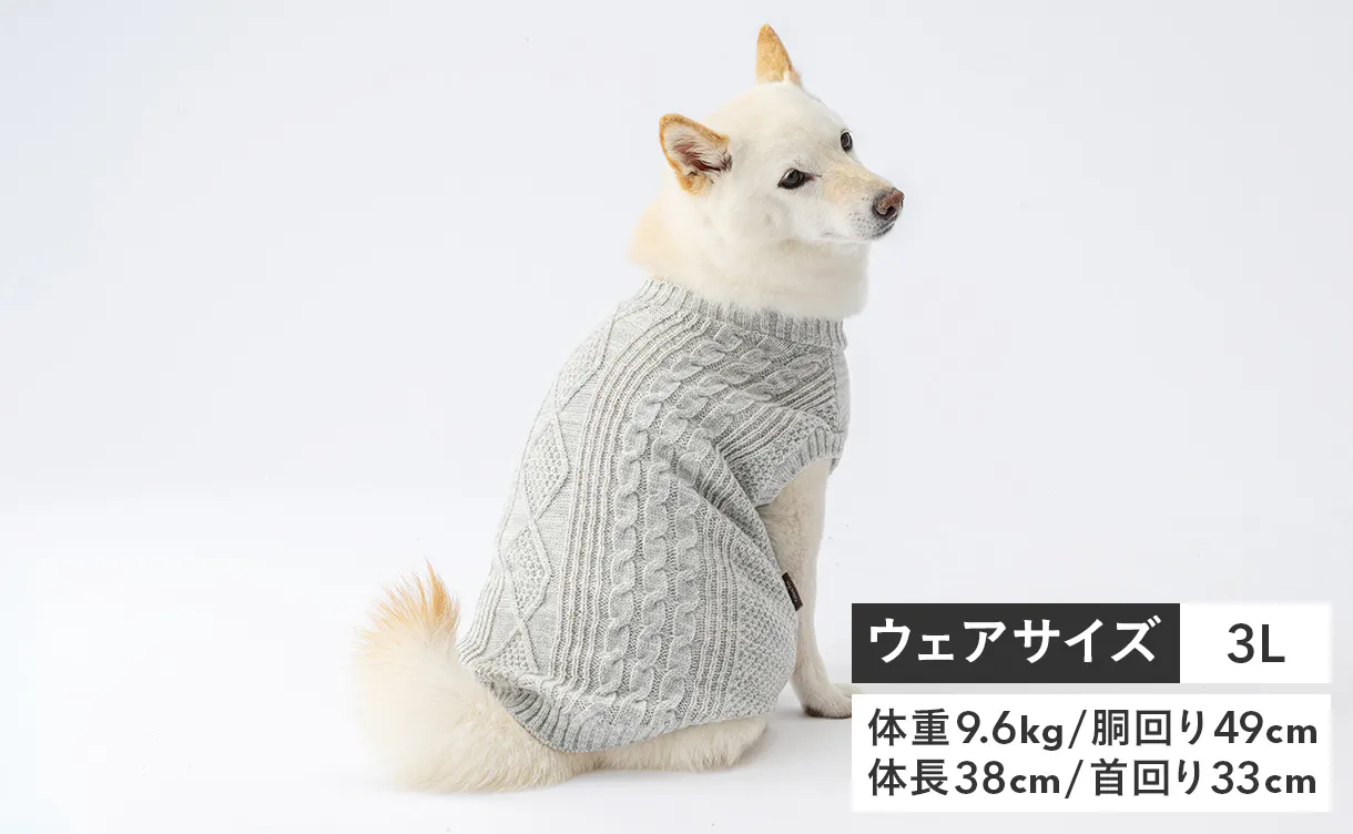 pet_wear_img04b_1220x752.jpg