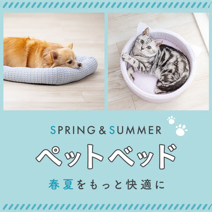 【2026年春夏】新作ペットベッドを機能や形別にご紹介