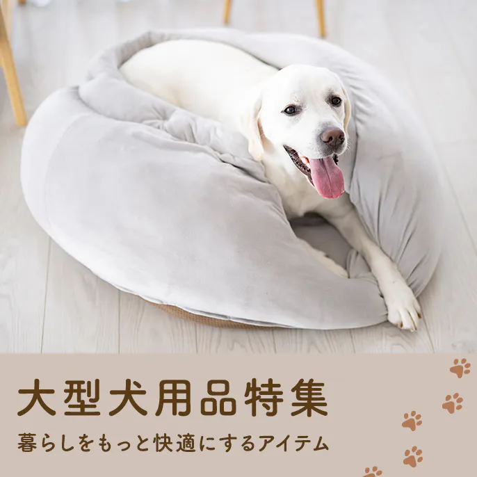 おすすめの大型犬用品