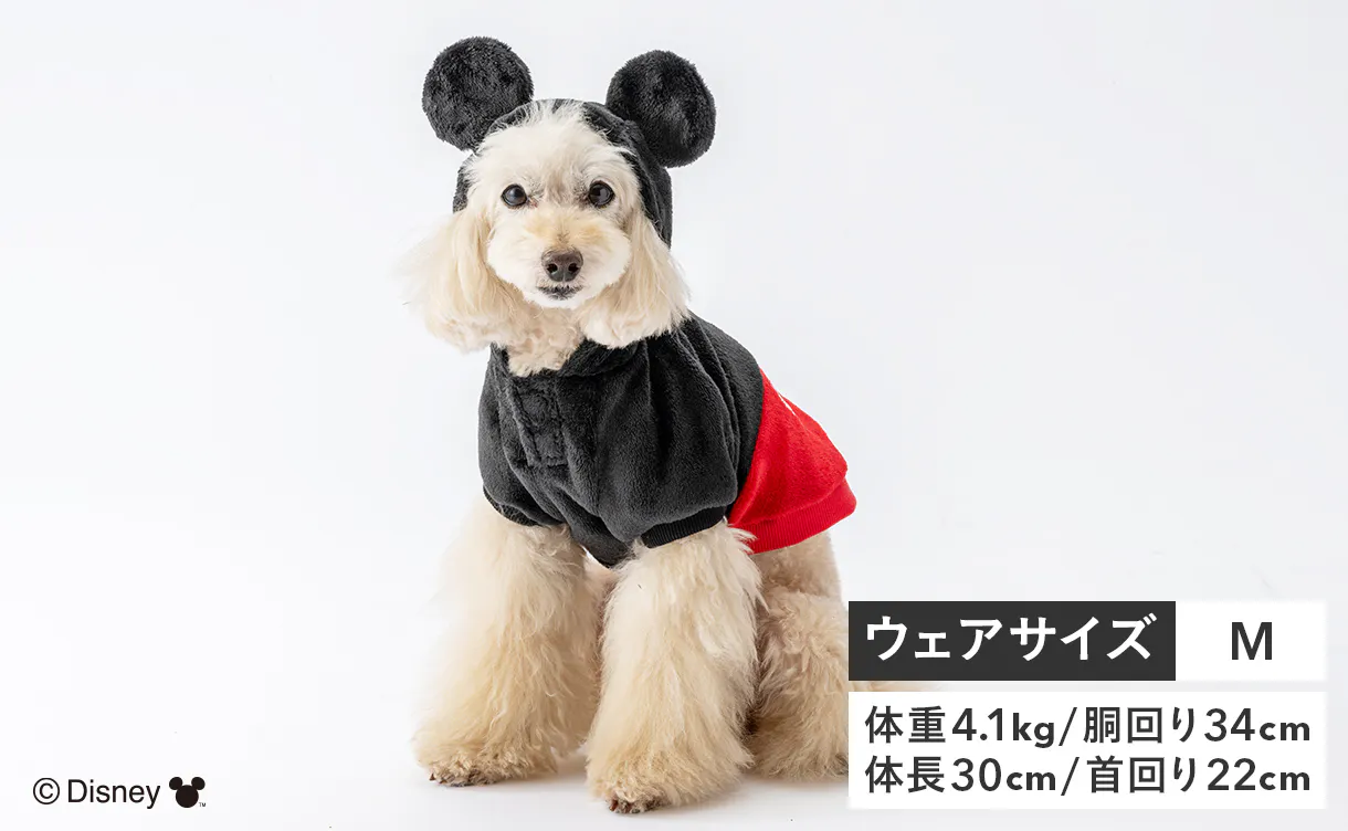 pet_wear_img05a_1220x752.jpg