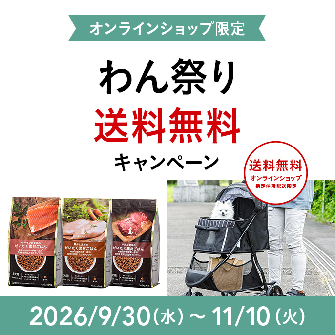 お得情報｜ホームセンターのカインズ公式通販サイト