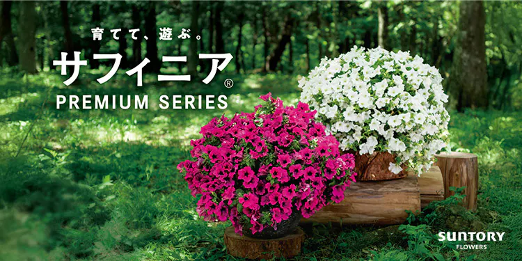 花を育てて、共に過ごす歓びを。