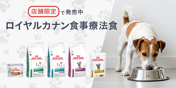 【店舗限定】ロイヤルカナン食事療法食の購入について