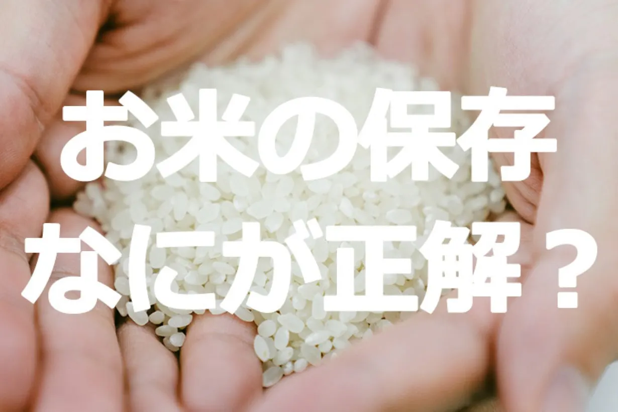 お米って腐るの？ お米の正しい保存方法をお米屋さんに聞いてみた