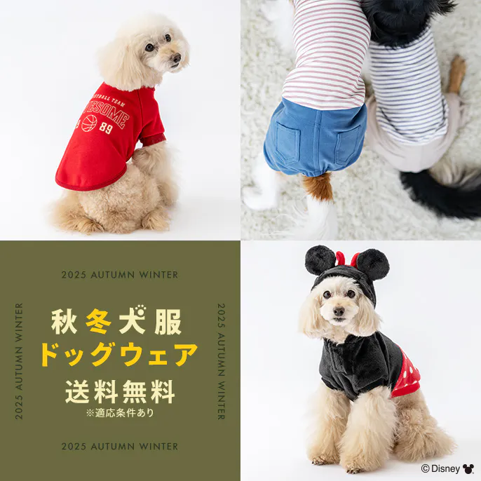 秋冬の新作登場！おしゃれで機能的な犬服・ドッグウェア特集