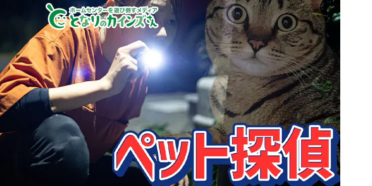 となりのカインズさん