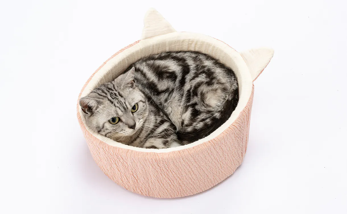 pet_bed_4550596212272_1220x752.jpg