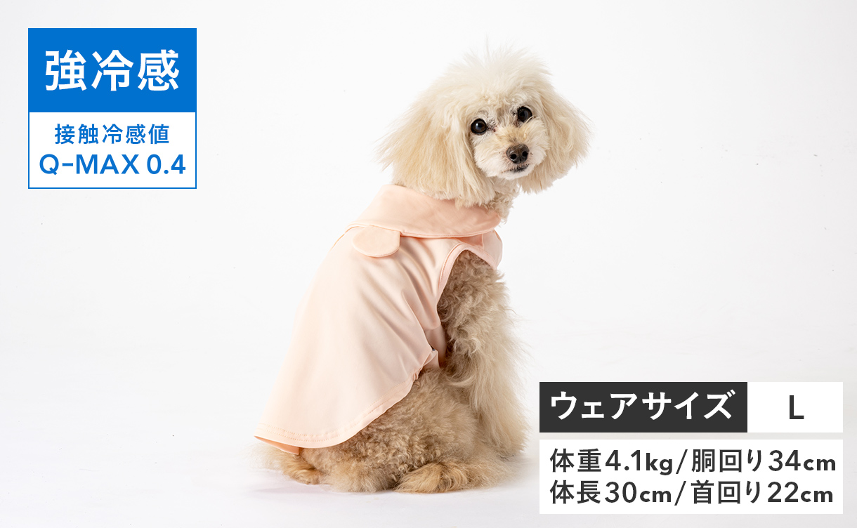 2026年春夏】おしゃれでかわいい犬服・ドッグウェア特集｜ひんやり機能